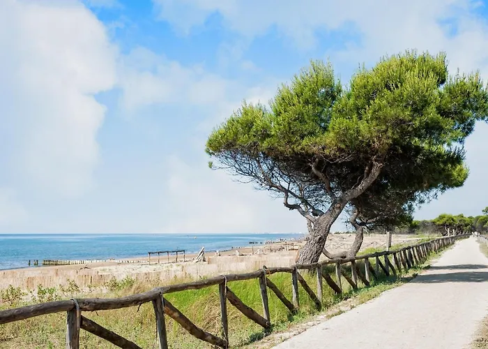 Daire Terrace Near Bibione